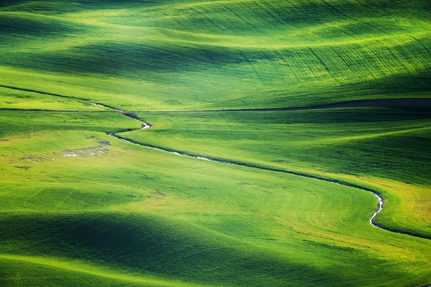 Weite grüne Graslandschaft im Tageslicht, ruhiger Horizont