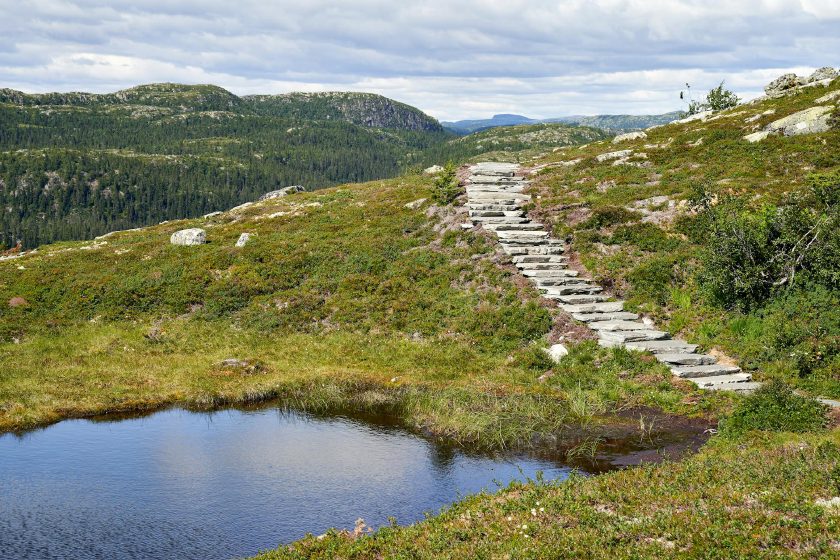 Sanft ansteigende Steintreppe am Teich, ruhiger Pfad