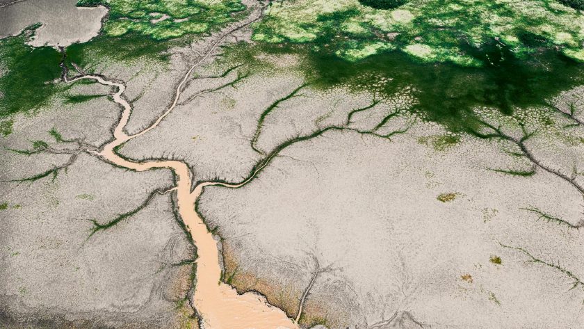 Verzweigtes Flussdelta aus der Vogelperspektive